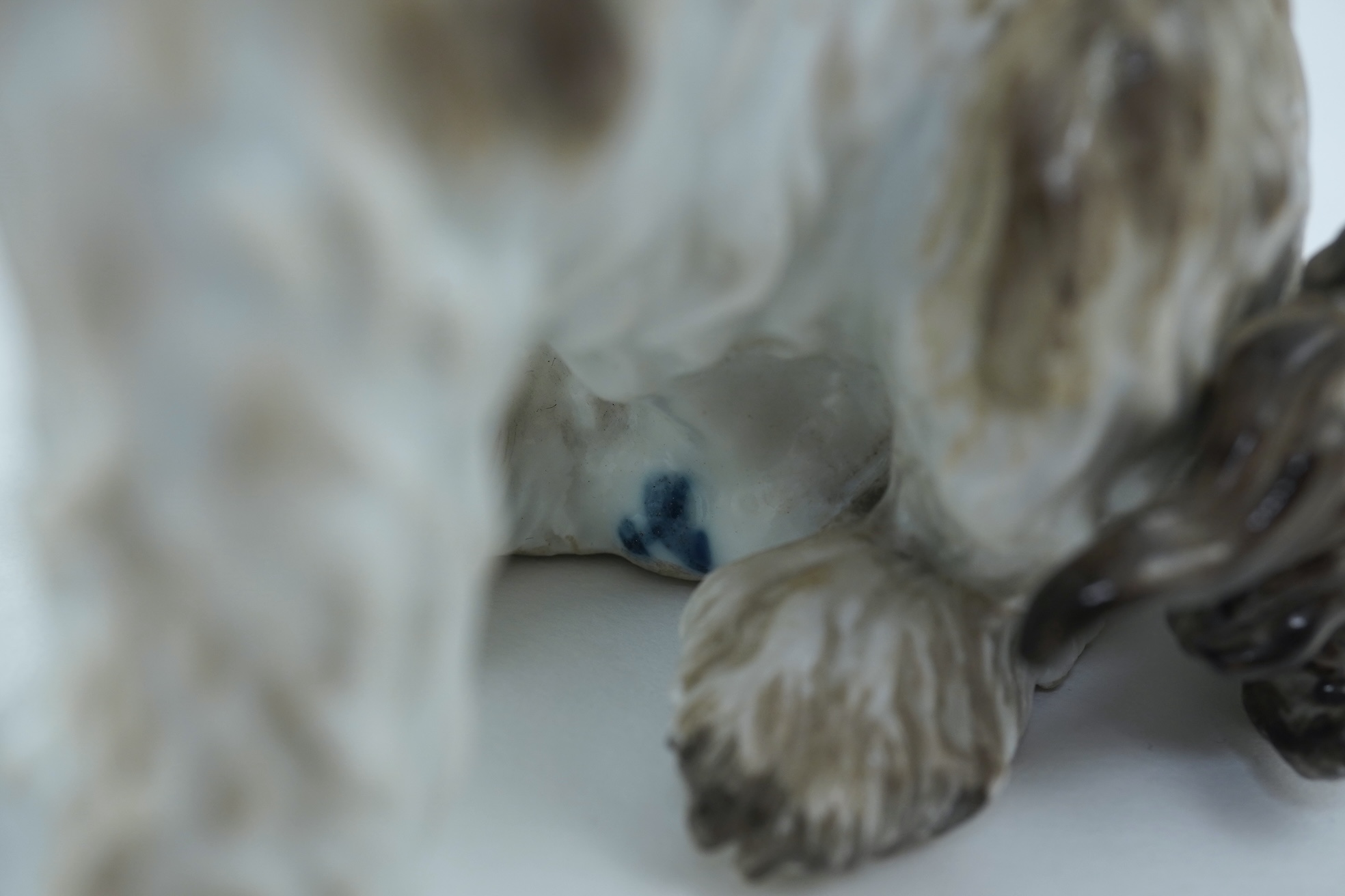 A Meissen figure of a seated Bolognese terrier, 19th century